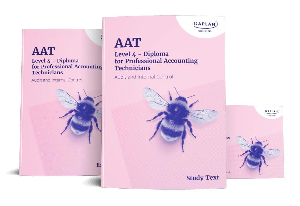 Audit and Internal Control Essentials Pack